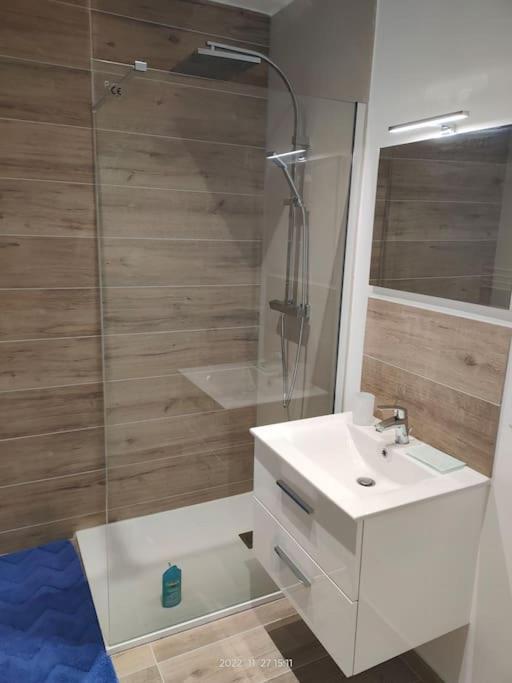 Logement Complet A Villeurbanne Kültér fotó
